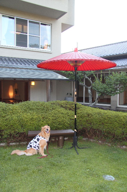 ファイル 1344-5.jpg