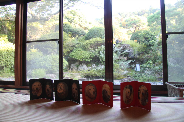 ファイル 1346-1.jpg