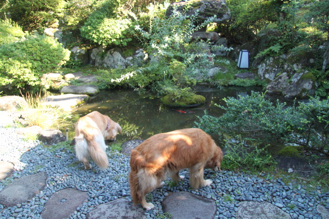 ファイル 1346-3.jpg