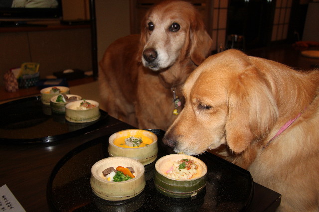 ファイル 1347-5.jpg