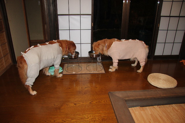 ファイル 1348-1.jpg