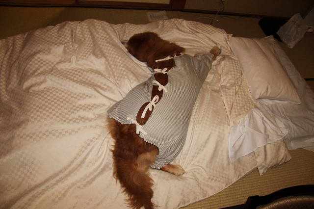 ファイル 1348-3.jpg