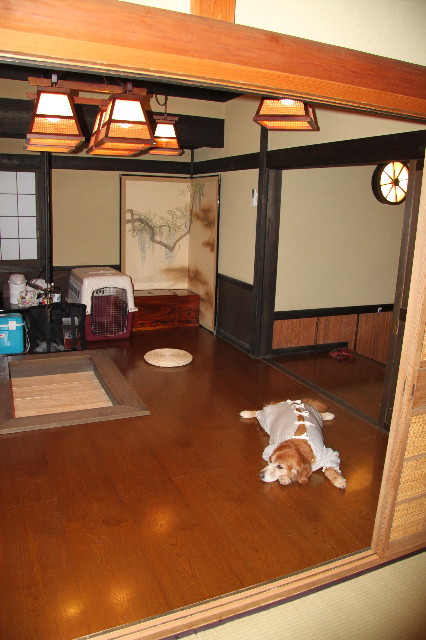 ファイル 1348-4.jpg