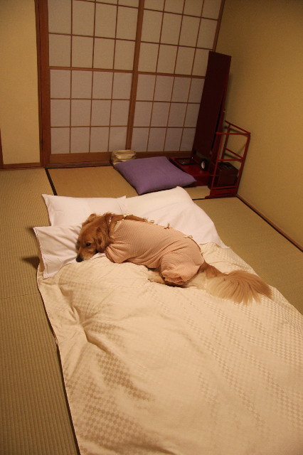 ファイル 1348-5.jpg