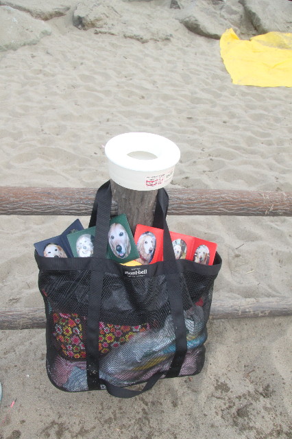 ファイル 1355-2.jpg