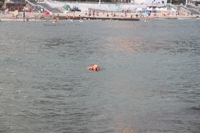 ファイル 1355-3.jpg