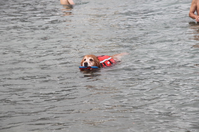 ファイル 1355-4.jpg