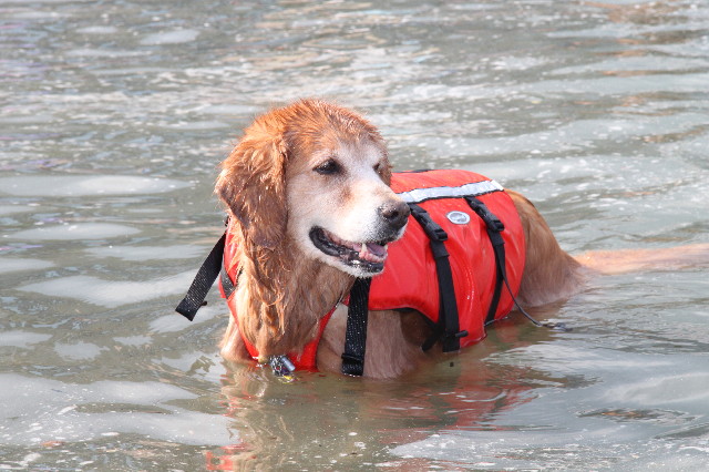 ファイル 1355-5.jpg