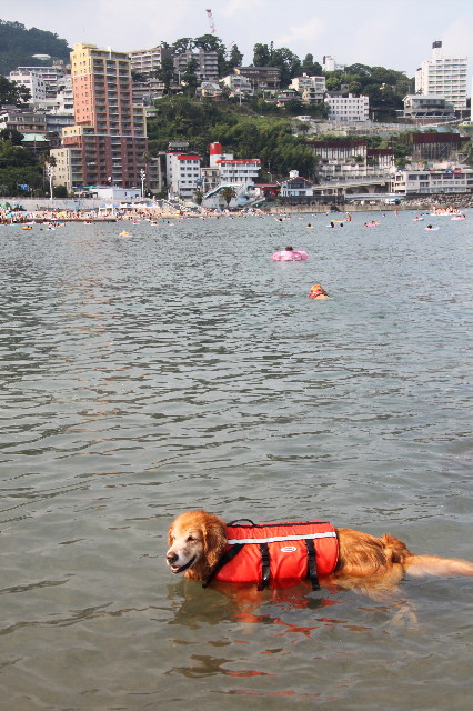 ファイル 1356-2.jpg