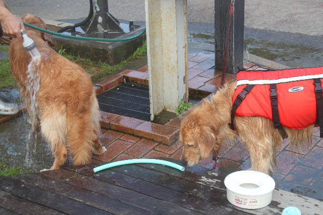 ファイル 1356-3.jpg