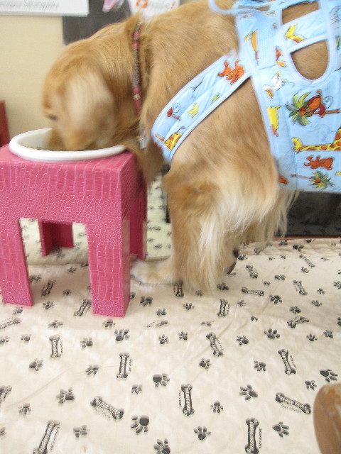 ファイル 1357-5.jpg