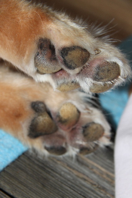 ファイル 1358-3.jpg