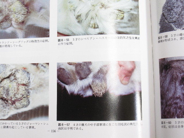 ファイル 1358-5.jpg