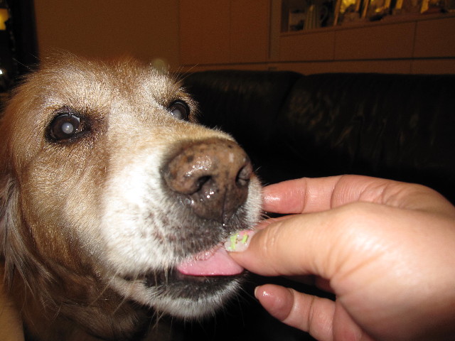 ファイル 1359-5.jpg