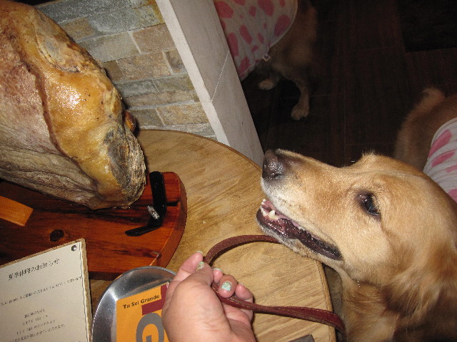 ファイル 1360-5.jpg