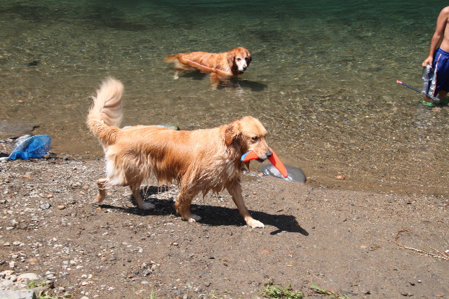 ファイル 1363-1.jpg