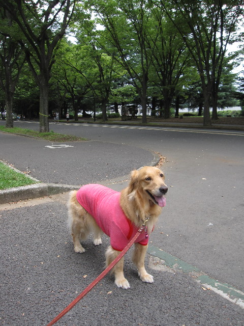 ファイル 1364-2.jpg