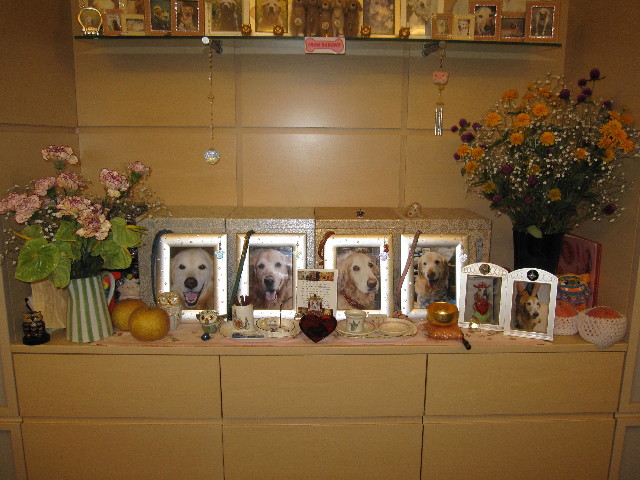 ファイル 1364-5.jpg