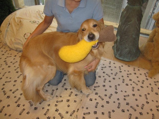 ファイル 1366-3.jpg