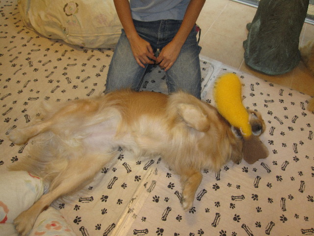 ファイル 1366-4.jpg