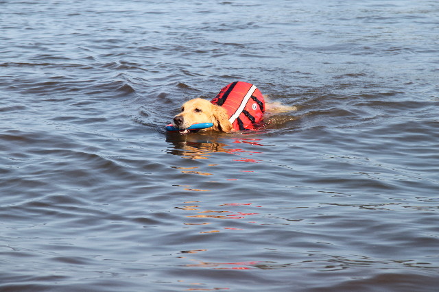 ファイル 1368-2.jpg