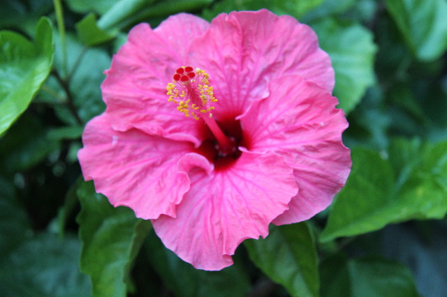 ファイル 1370-2.jpg