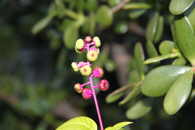 ファイル 1370-3.jpg