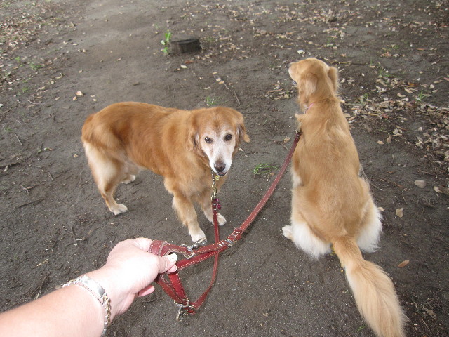 ファイル 1376-4.jpg