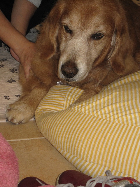 ファイル 1377-2.jpg