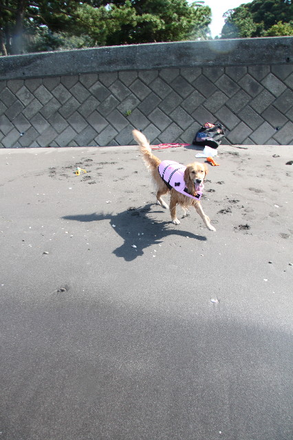 ファイル 1379-4.jpg