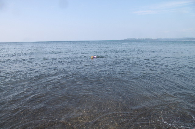 ファイル 1379-5.jpg