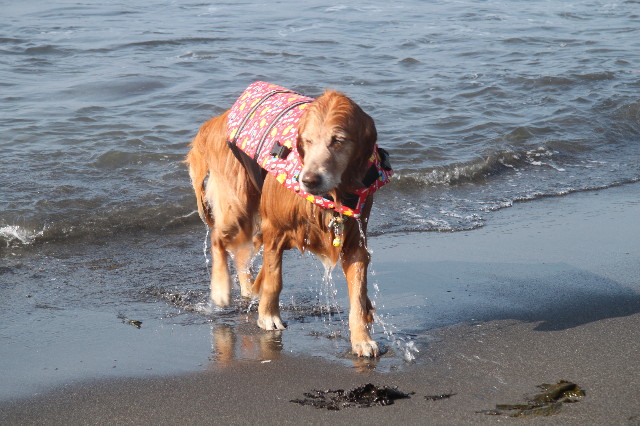 ファイル 1380-2.jpg