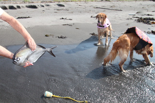 ファイル 1381-2.jpg