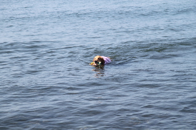 ファイル 1381-3.jpg