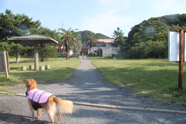 ファイル 1381-5.jpg