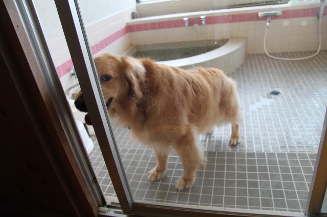 ファイル 1382-4.jpg