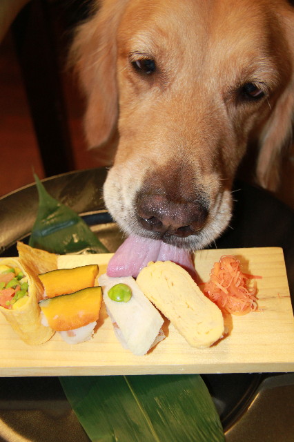 ファイル 1384-1.jpg