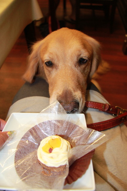 ファイル 1384-3.jpg