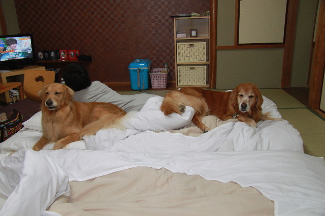 ファイル 1384-4.jpg