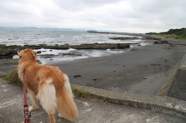 ファイル 1385-1.jpg