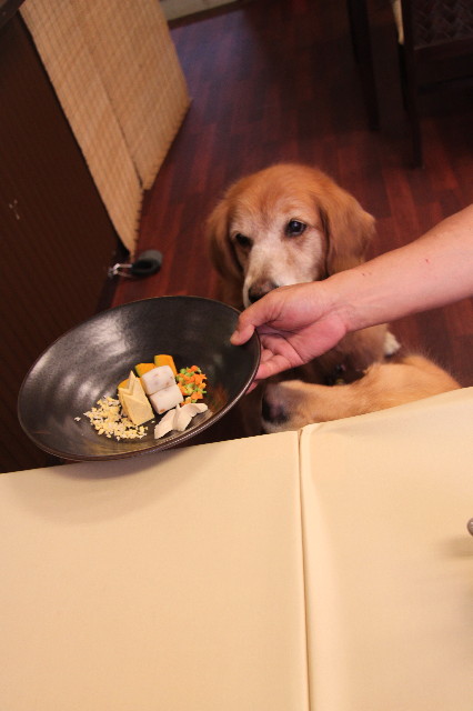 ファイル 1385-4.jpg