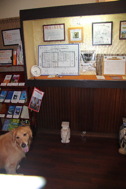 ファイル 1385-5.jpg