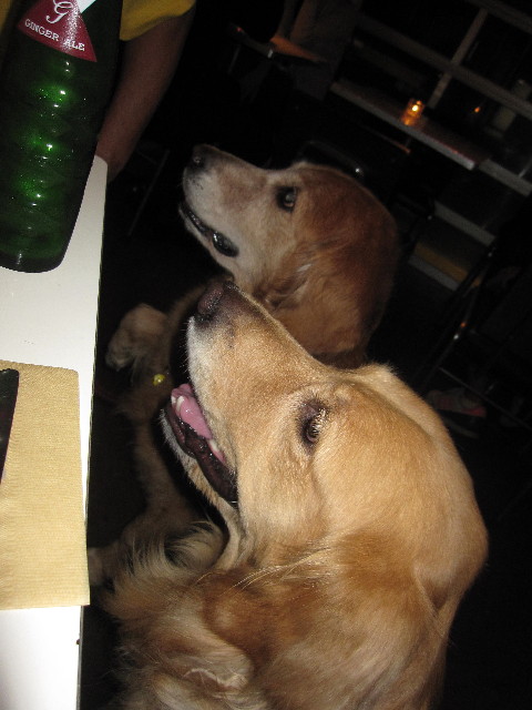 ファイル 1386-4.jpg