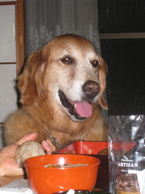 ファイル 1388-4.jpg