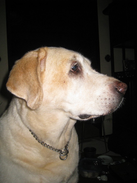 ファイル 1388-5.jpg