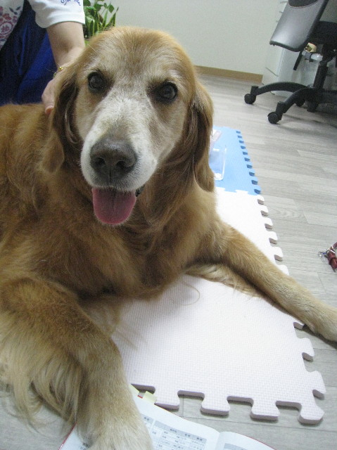 ファイル 1389-1.jpg