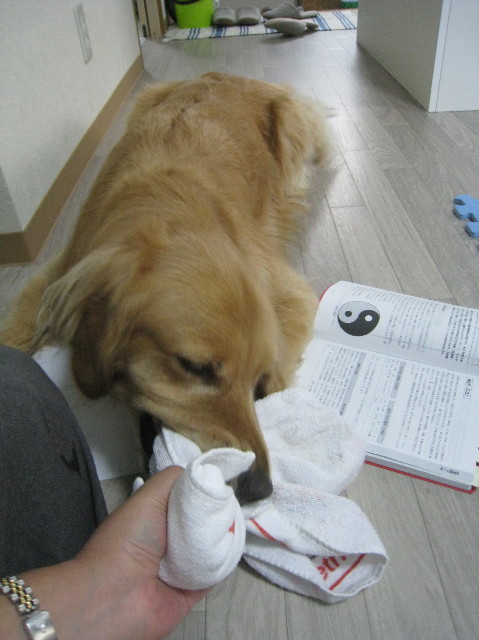 ファイル 1389-2.jpg