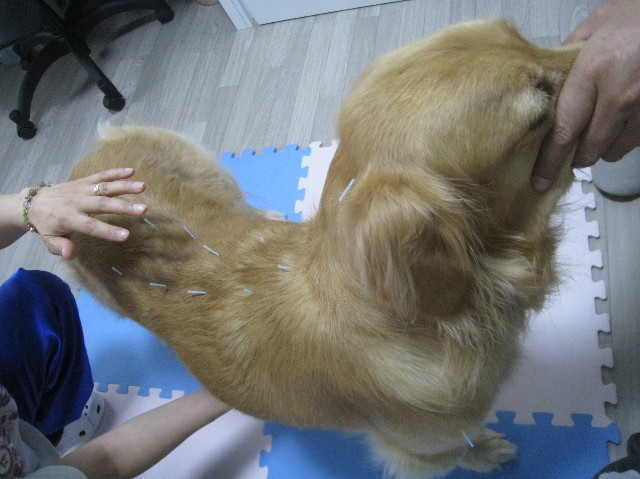 ファイル 1389-4.jpg