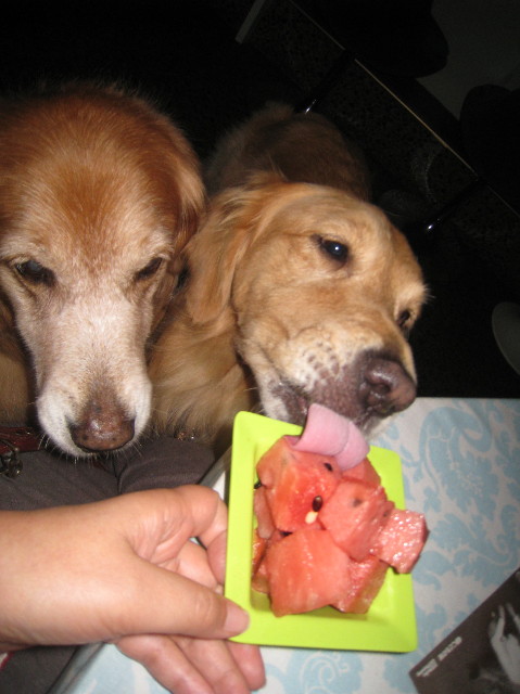 ファイル 1389-5.jpg