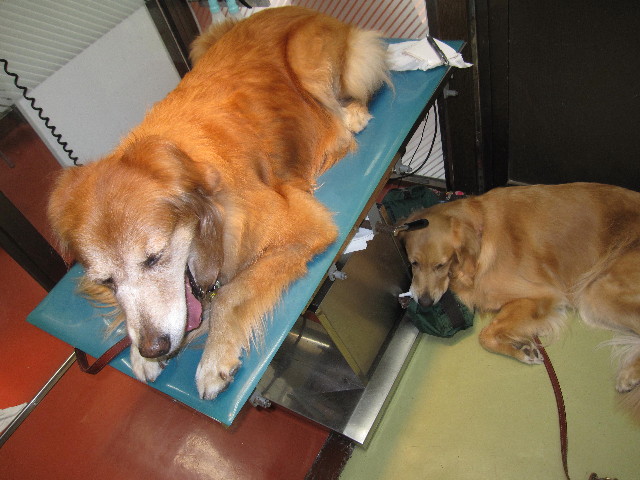 ファイル 1390-5.jpg